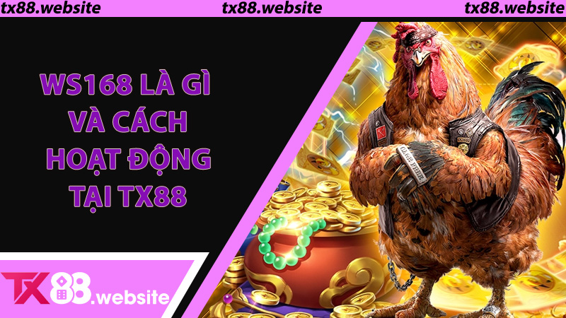 WS168 là gì và cách hoạt động tại TX88