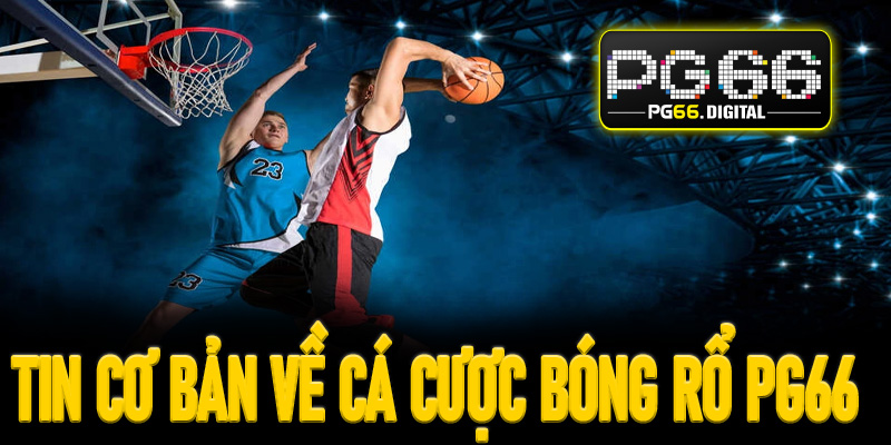 Một vài thông tin cơ bản về cá cược bóng rổ PG66
