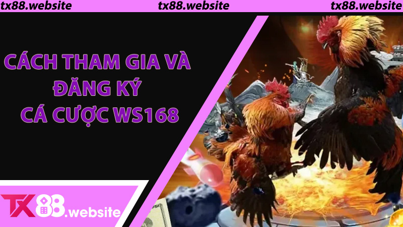 Cách tham gia và đăng ký cá cược WS168