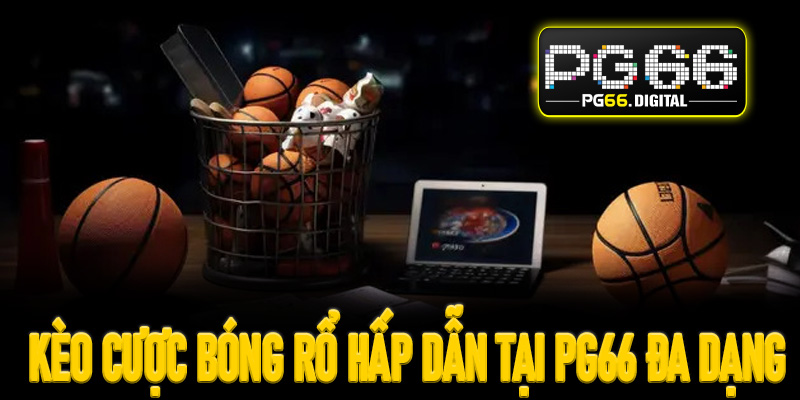 Kèo cược bóng rổ hấp dẫn tại PG66 đa dạng 