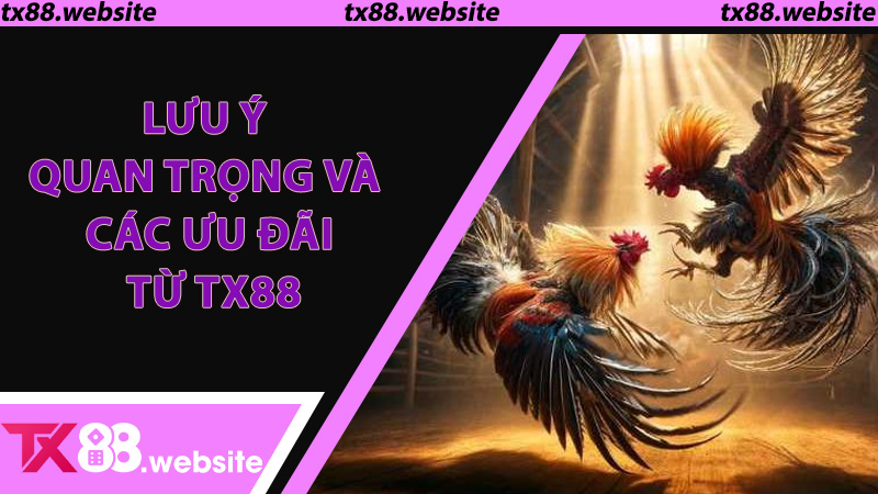 Lưu ý quan trọng và các ưu đãi từ TX88