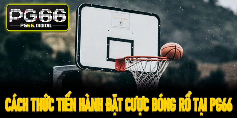 Cách thức tiến hành đặt cược bóng rổ tại PG66