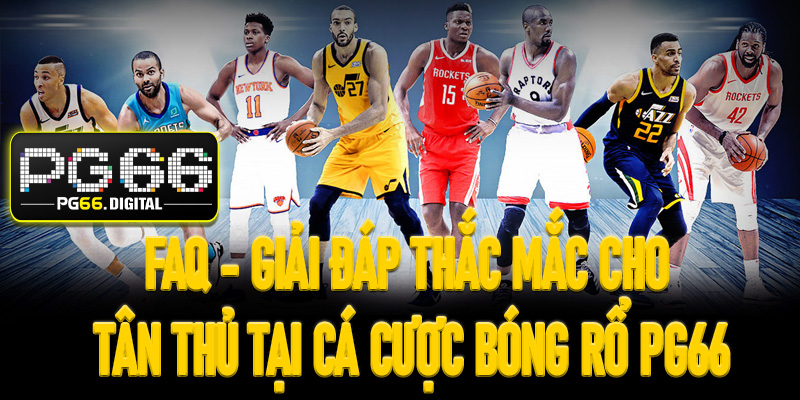 FAQ - Giải đáp thắc mắc cho tân thủ tại cá cược bóng rổ PG66