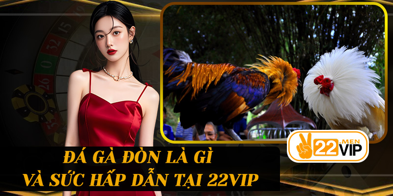 Đá Gà Đòn là gì và sức hấp dẫn tại 22vip
