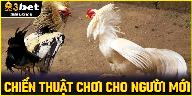 Chiến thuật chơi cho người mới - Bước đi an toàn nhưng hiệu quả