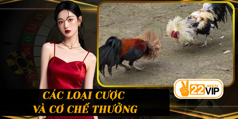 Các loại cược và cơ chế thưởng