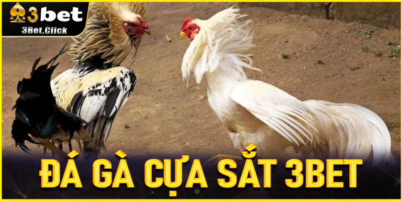 Đá Gà Cựa Sắt 3bet - Bí Kíp Săn Thưởng Cho Người Mới