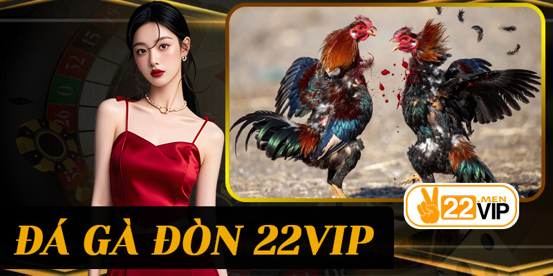 Đá Gà Đòn 22vip: Bí Quyết Thắng Lớn Và Trải Nghiệm Trận Đấu Hấp Dẫn Nhất